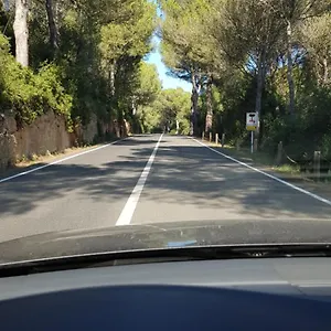 Vientos Son Parc
